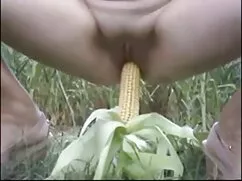 L'aspetto del richia ...