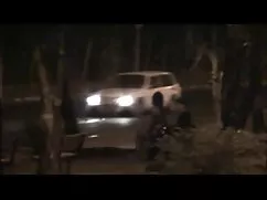 Parodia di un cane p ...